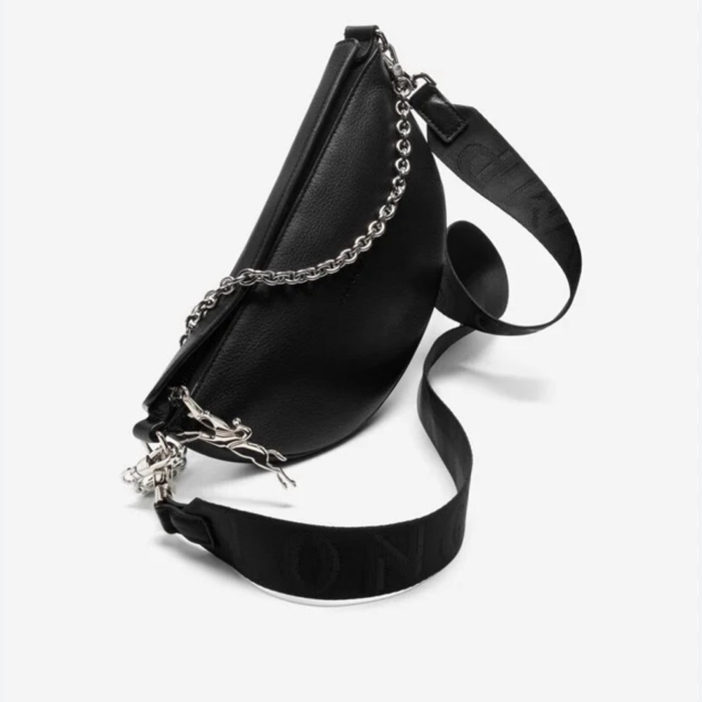 Longchamp Bag.